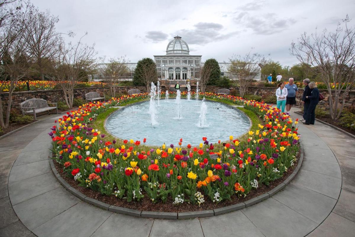 Lewis Ginter Botanical Garden In Richmond: A Hidden Gem