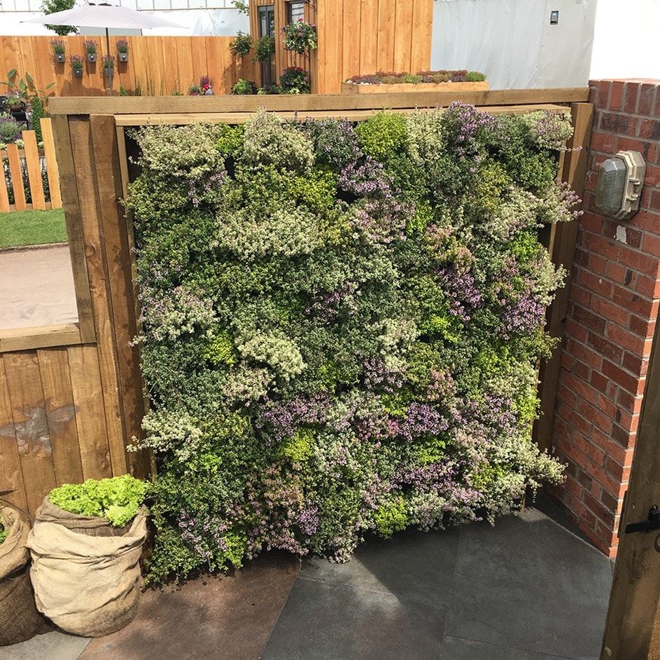 How To Make A Vertical Garden Living Wall: Grow Up!