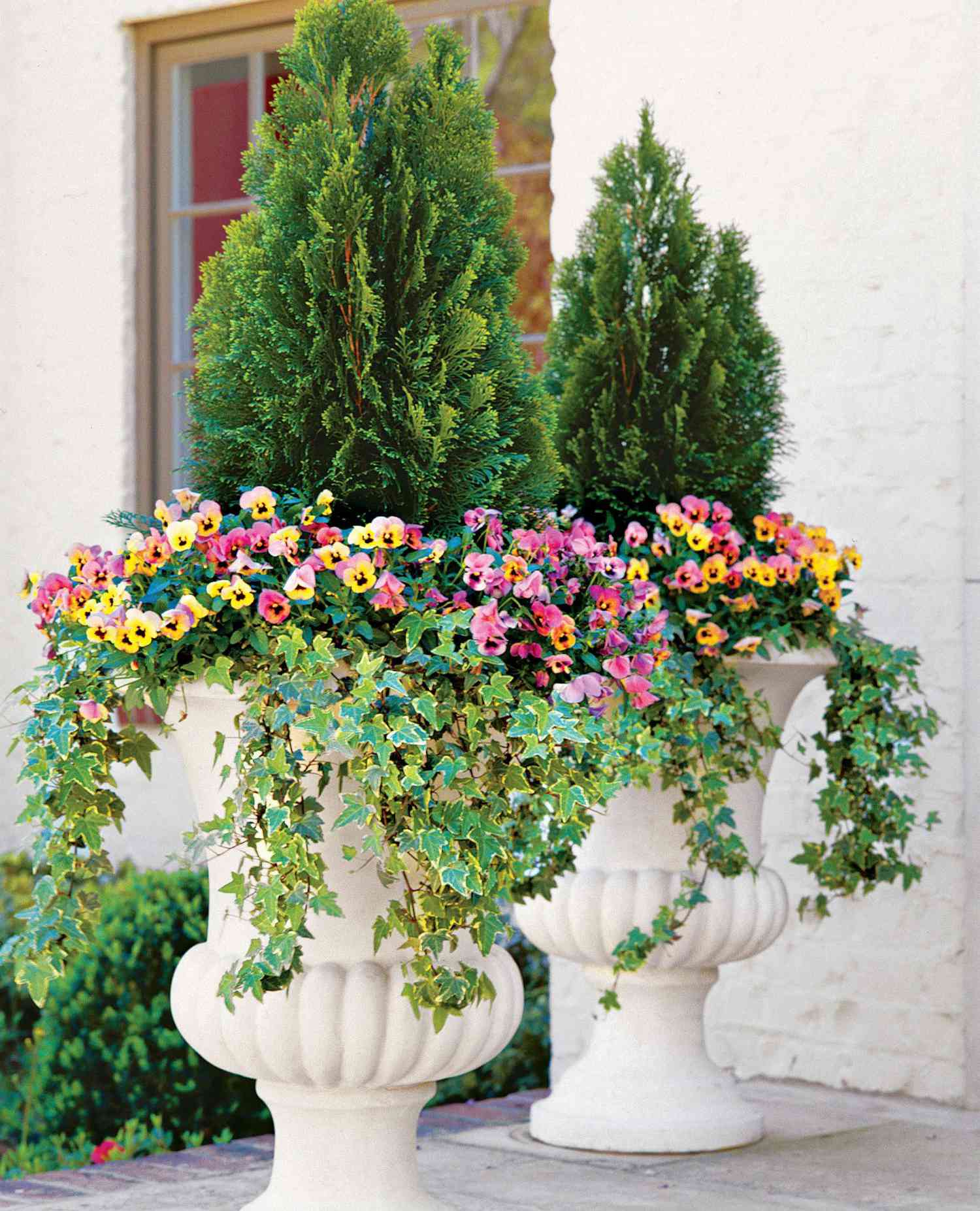 Shade Loving Plants For Containers: Lush Picks For Pots!