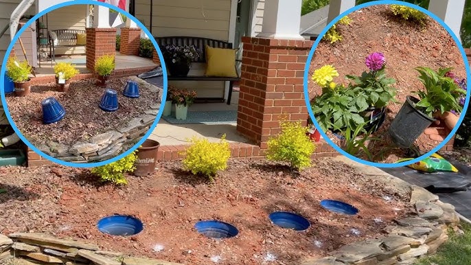 Do It Yourself Garden Beds: Elevate Your Backyard Oasis