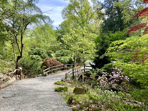 Laurelwood Arboretum Wayne New Jersey: A Tranquil Oasis