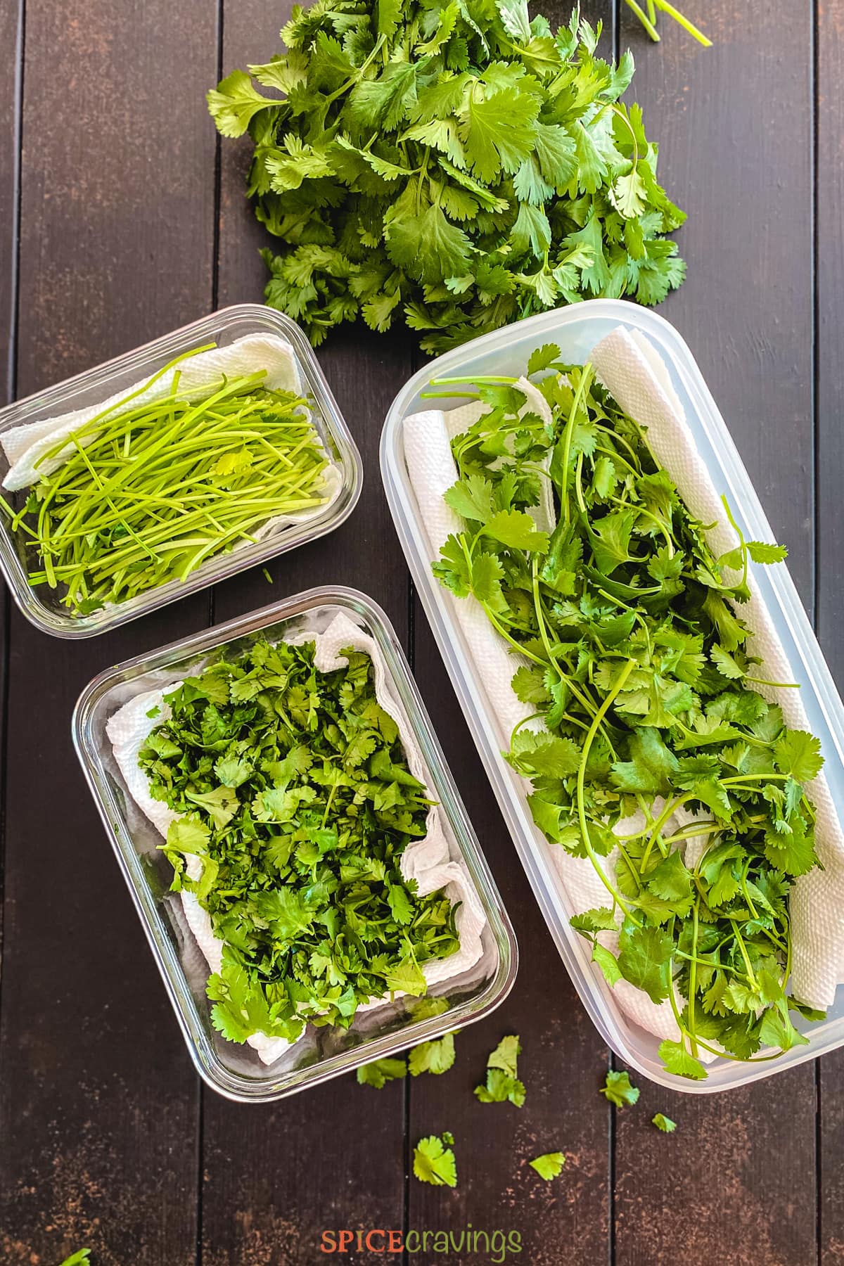 How To Keep Cilantro Fresh Longer: Expert Tips Unveiled