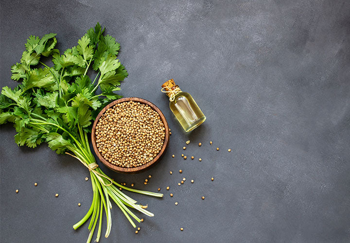 Replacement For Cilantro: Top Flavorful Herbs Unveiled