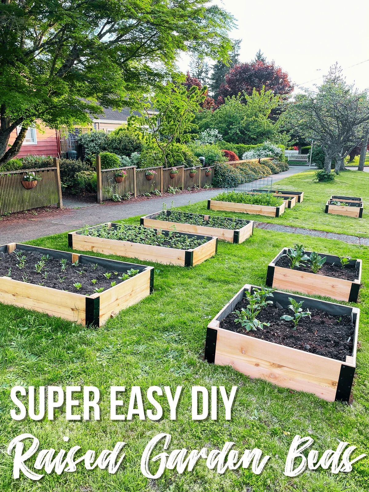 Raised Garden Beds Blueprints: Unlock Your Green Thumb!