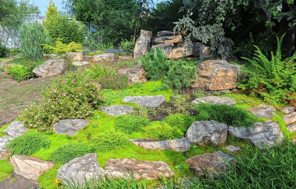 Alternatives To Grass For Lawns: Eco-Friendly Choices!