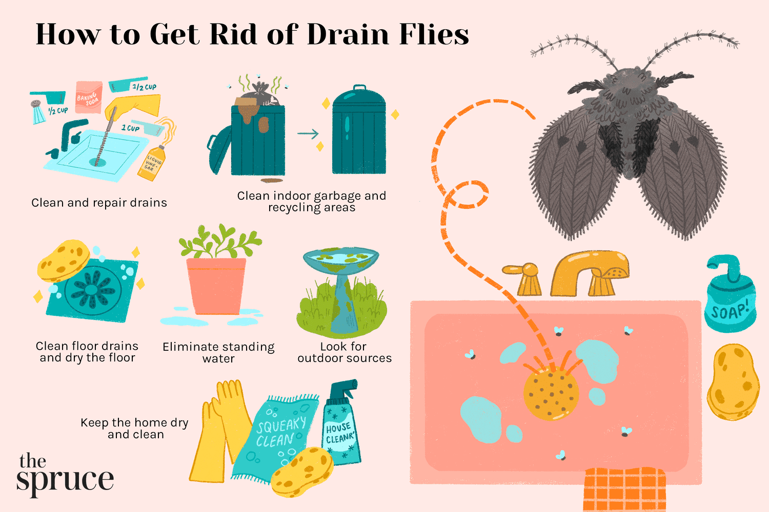 How To Get Rid Of Small Flies In House: Quick Solutions!