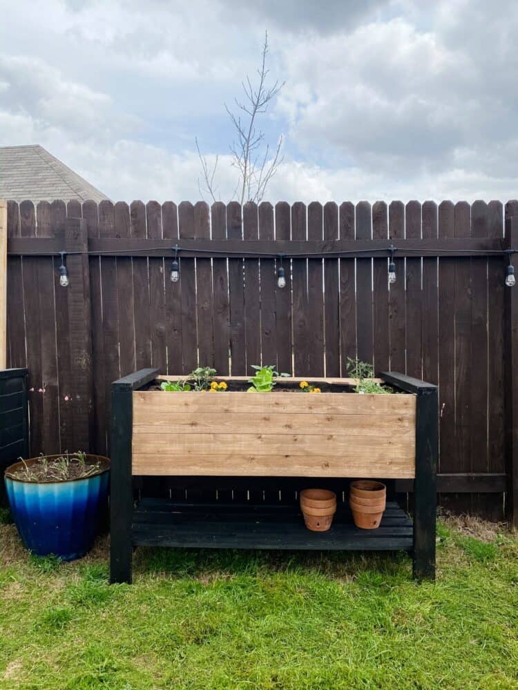 Do It Yourself Raised Garden Beds: Grow Like A Pro!