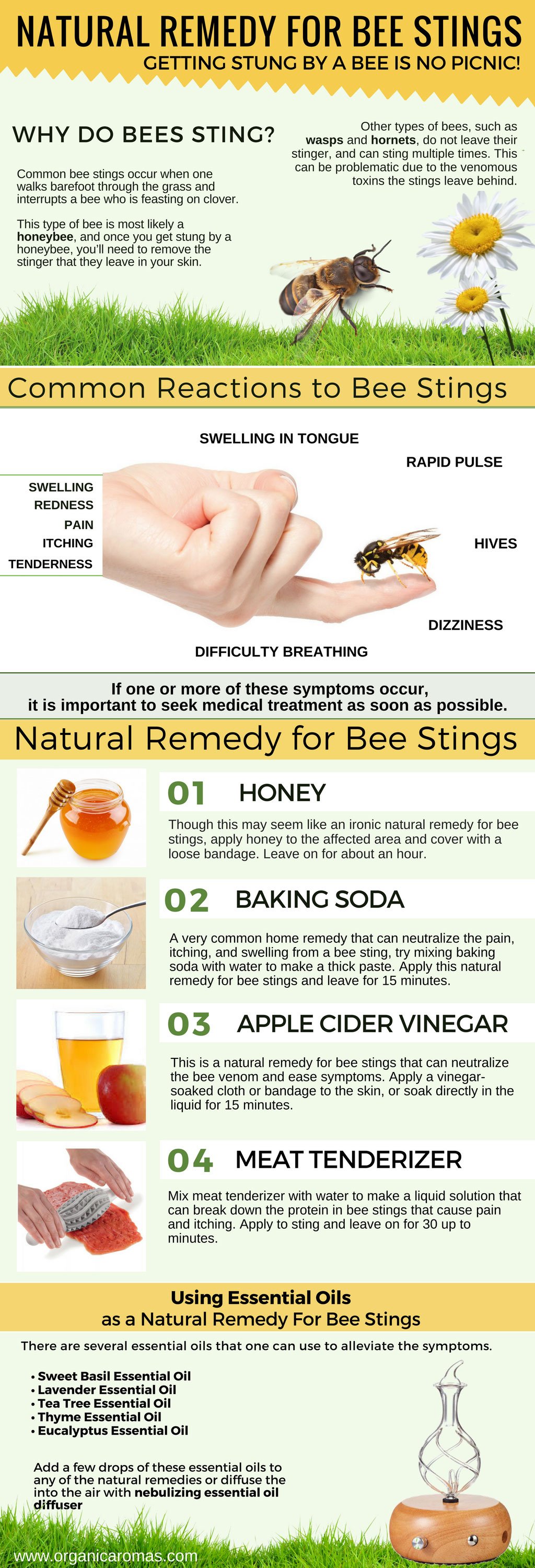 Bee Sting Natural Remedy: Soothe Pain Quickly & Naturally