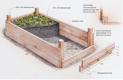 How To Create Raised Garden Beds: Easy Step-By-Step Guide