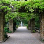 About Fort Worth Botanic Garden A Lush Oasis Explored