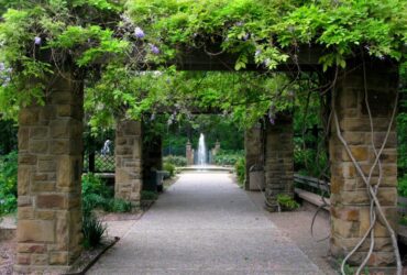 About Fort Worth Botanic Garden A Lush Oasis Explored