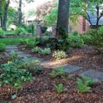 Alternatives To Grass For Lawns