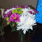 Are Chrysanthemums Poisonous For Cats