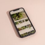Best Apps For Identifying Plants