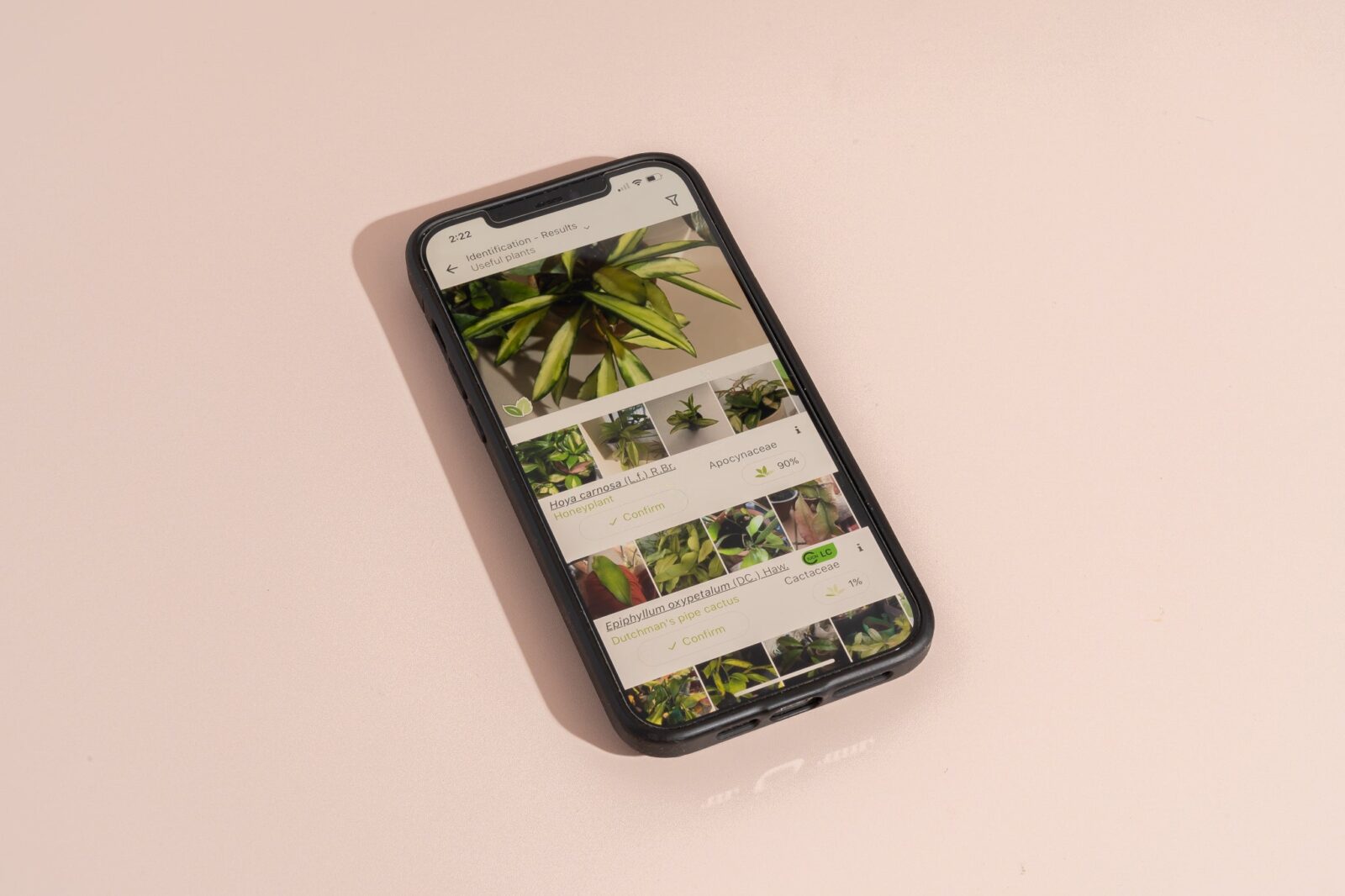 Best Apps For Identifying Plants