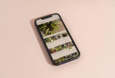 Best Apps For Identifying Plants