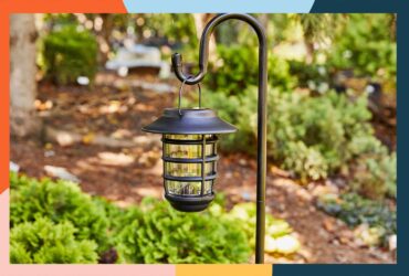 Best Outdoor Solar Powered Lights