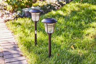 Best Rated Solar Lights For Garden