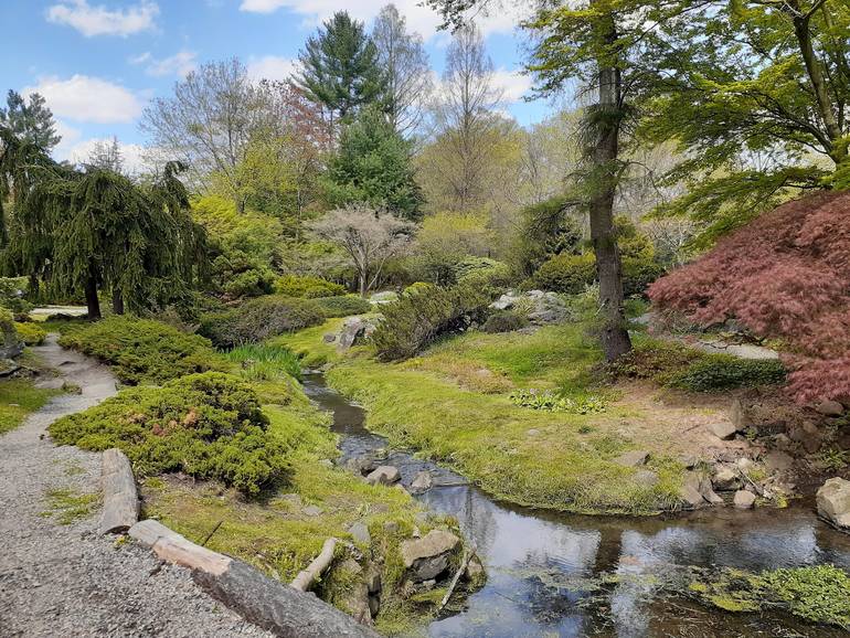 Laurelwood Arboretum Wayne New Jersey: A Tranquil Oasis