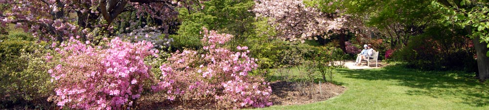 Planting Fields Arboretum New York: An Oasis Of Serenity