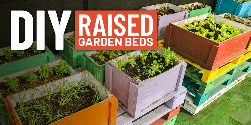 Do It Yourself Garden Beds: Elevate Your Backyard Oasis