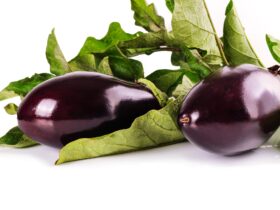 Eggplants Fruit Or Vegetable Debate Unveil The Truth 6