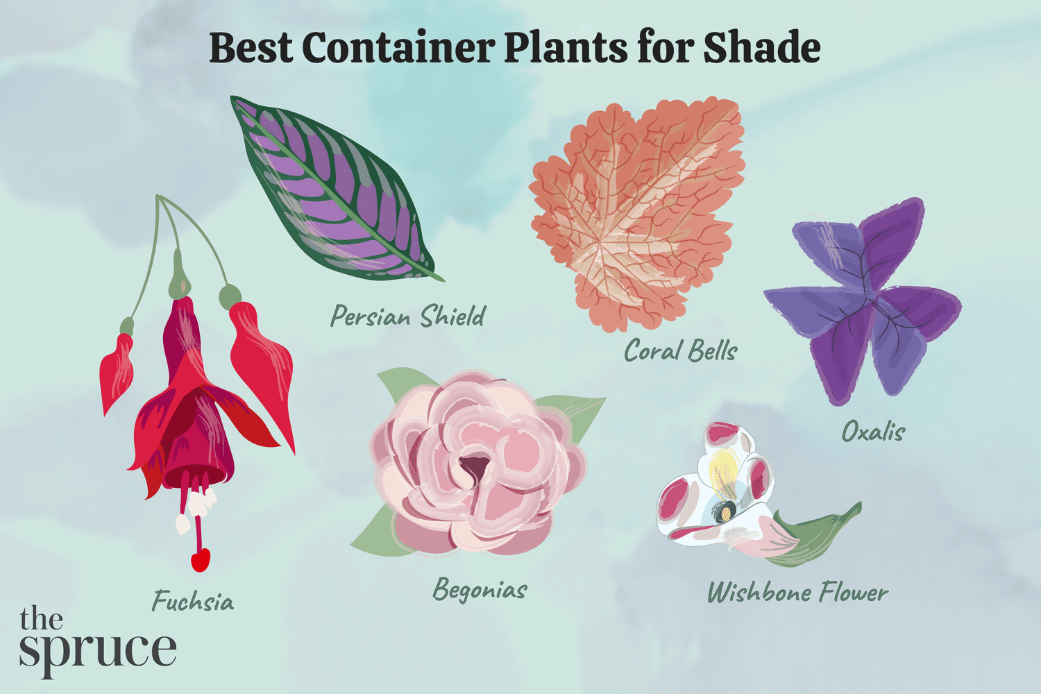 Shade Plants For Container Gardens: Lush Oasis Picks