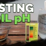 How Do You Test Ph In Soil