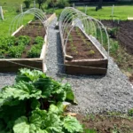 How To Construct A Raised Bed Garden Easy Diy Tips