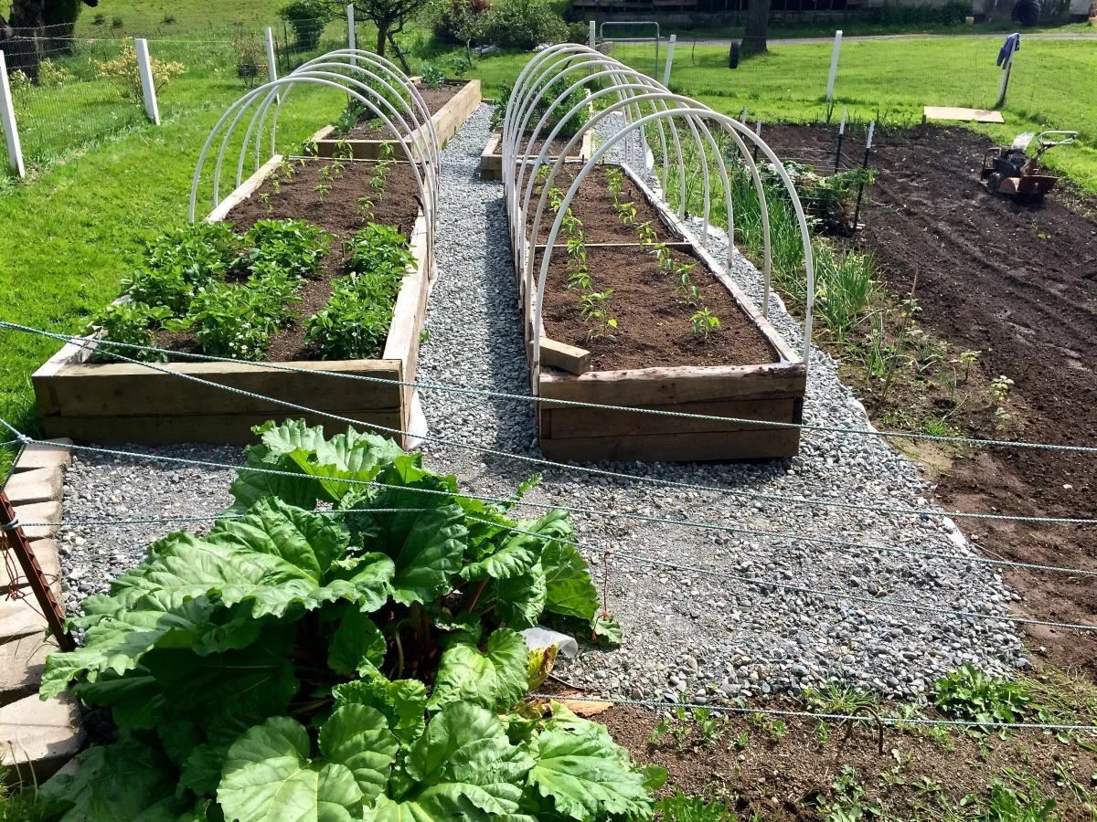 How To Construct A Raised Bed Garden Easy Diy Tips