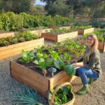 How To Create Raised Garden Beds