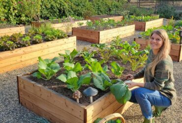 How To Create Raised Garden Beds