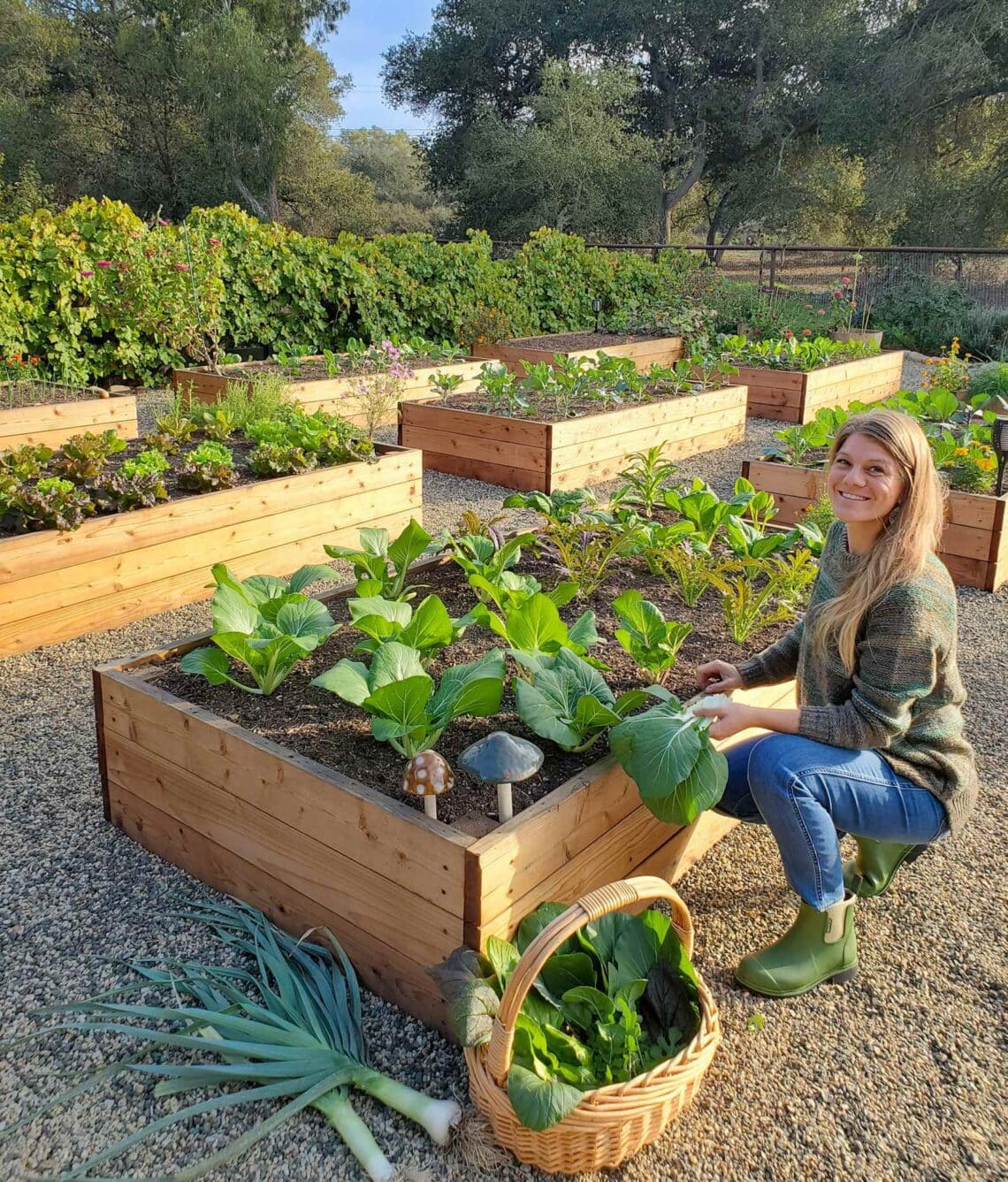 How To Create Raised Garden Beds