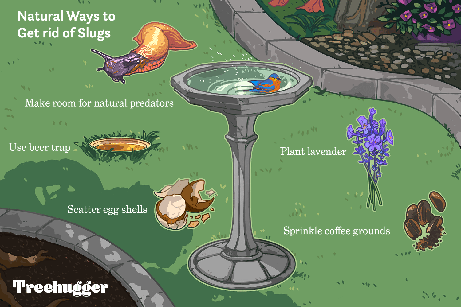 How To Get Rid Of Slugs From Garden