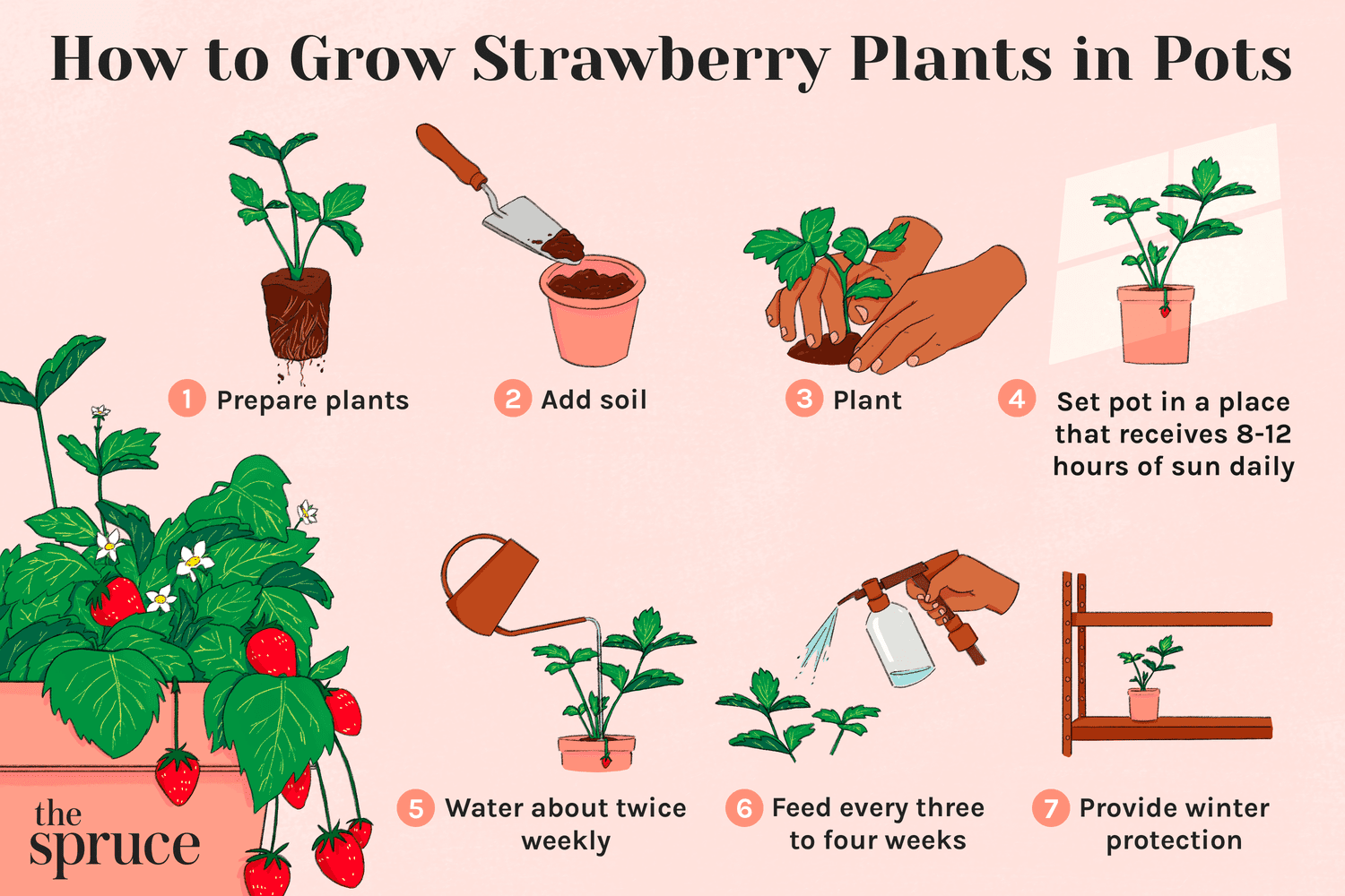 How To Take Care Of A Strawberry Plant: Expert Tips Revealed