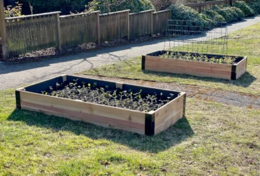 How To Make A Raised Bed For Garden Easy Diy Guide