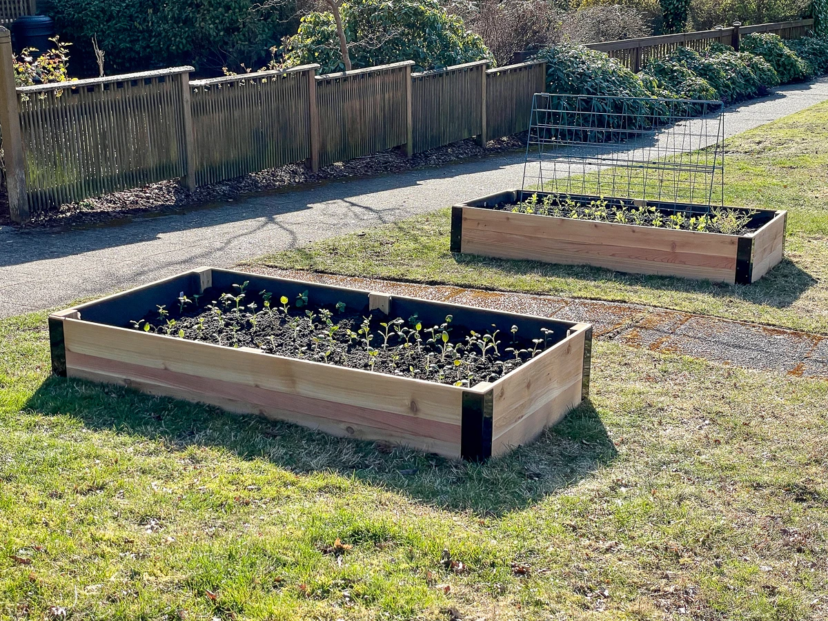How To Make A Raised Bed For Garden Easy Diy Guide