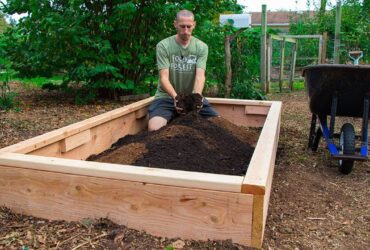 How To Make A Raised Bed For Plants