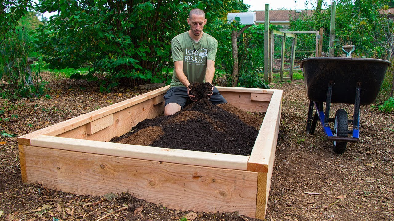 How To Make A Raised Bed For Plants