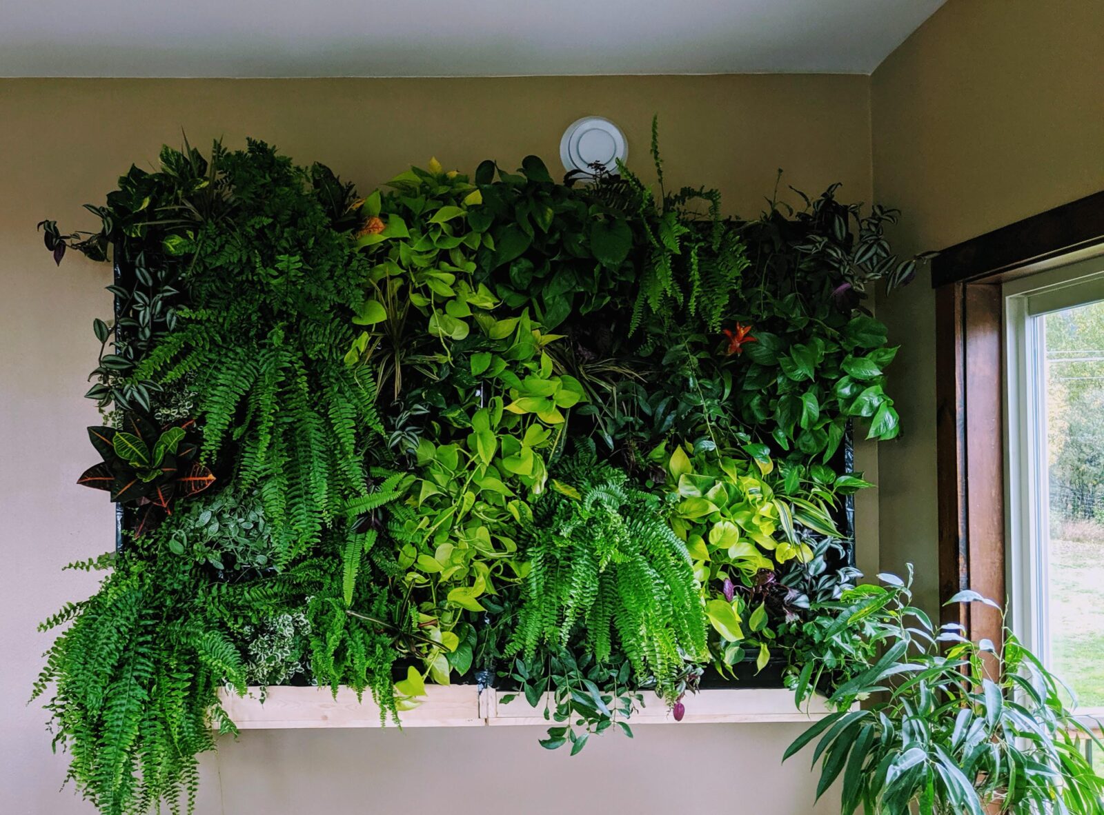 How To Make A Vertical Garden Living Wall