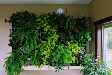 How To Make A Vertical Garden Living Wall