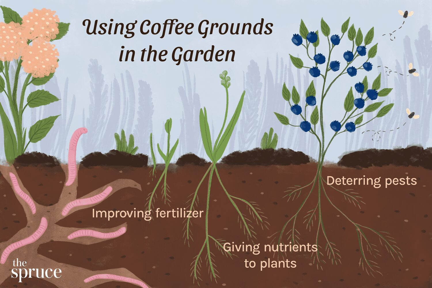 How To Use Coffee Grounds For Plants