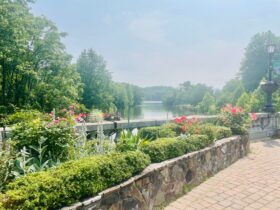 Lake Lure Flowering Bridge In North Carolina A Blooming Marvel 3