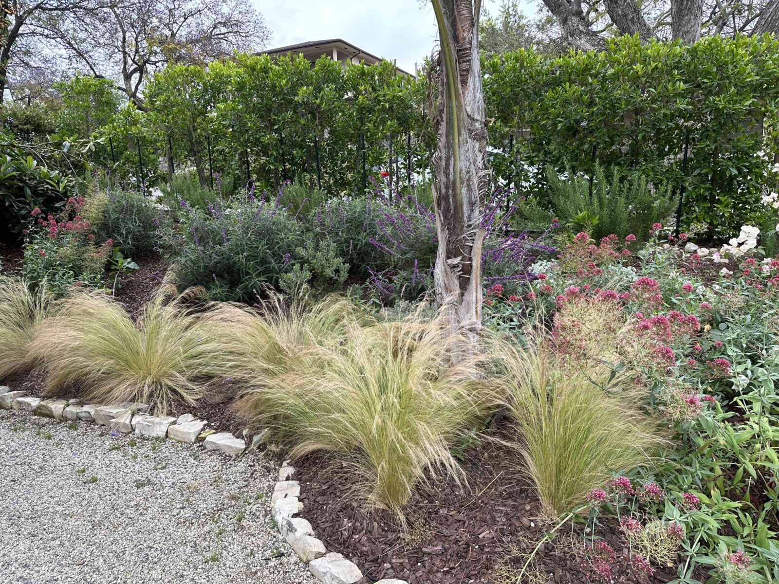Planting Grasses Landscaping Elevate Your Outdoor Oasis