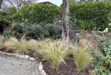 Planting Grasses Landscaping Elevate Your Outdoor Oasis