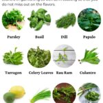 Replacement For Cilantro