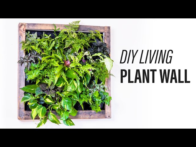 How To Make A Vertical Garden Living Wall: Grow Up!