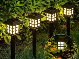 Solar Powered Outdoor Garden Lights