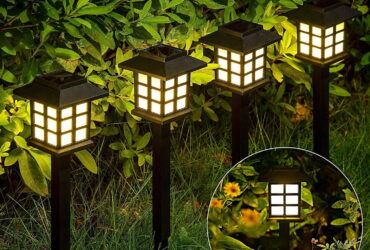 Solar Powered Outdoor Garden Lights