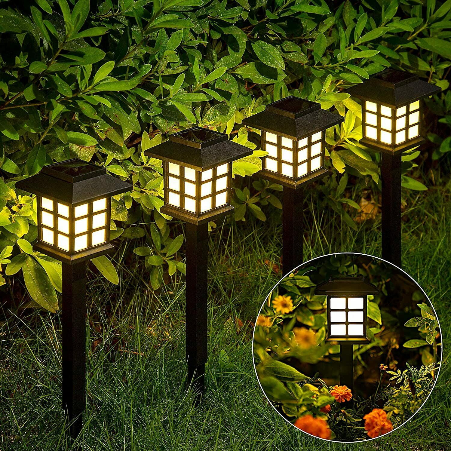 Solar Powered Outdoor Garden Lights